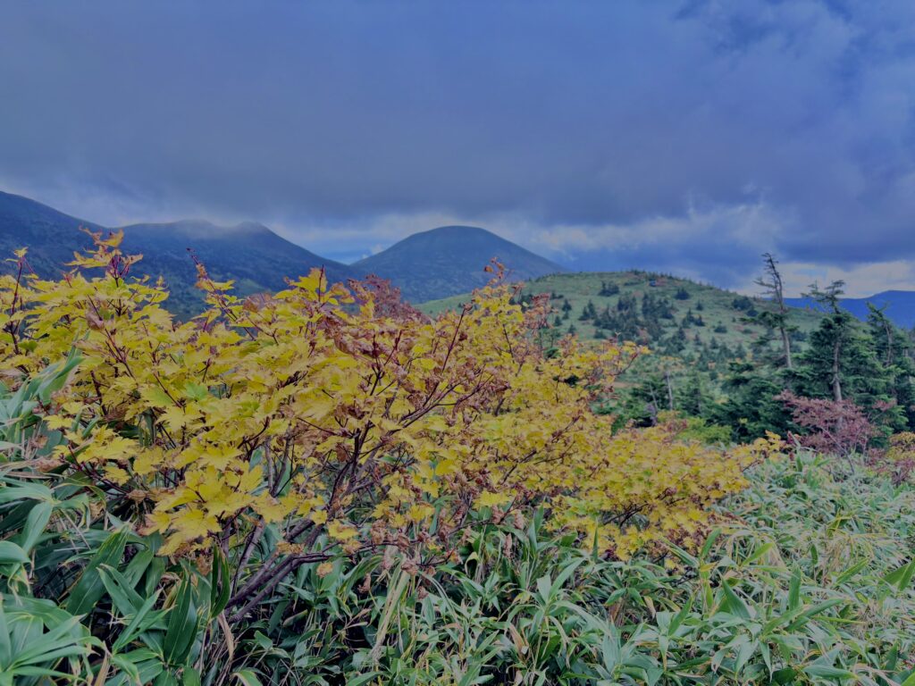 八甲田山,日本百名山,青森県,山,登山,