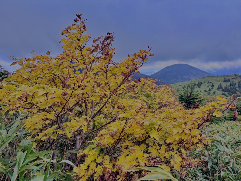 八甲田山,日本百名山,青森県,山,登山,