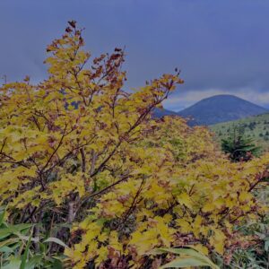 八甲田山,日本百名山,青森県,山,登山,
