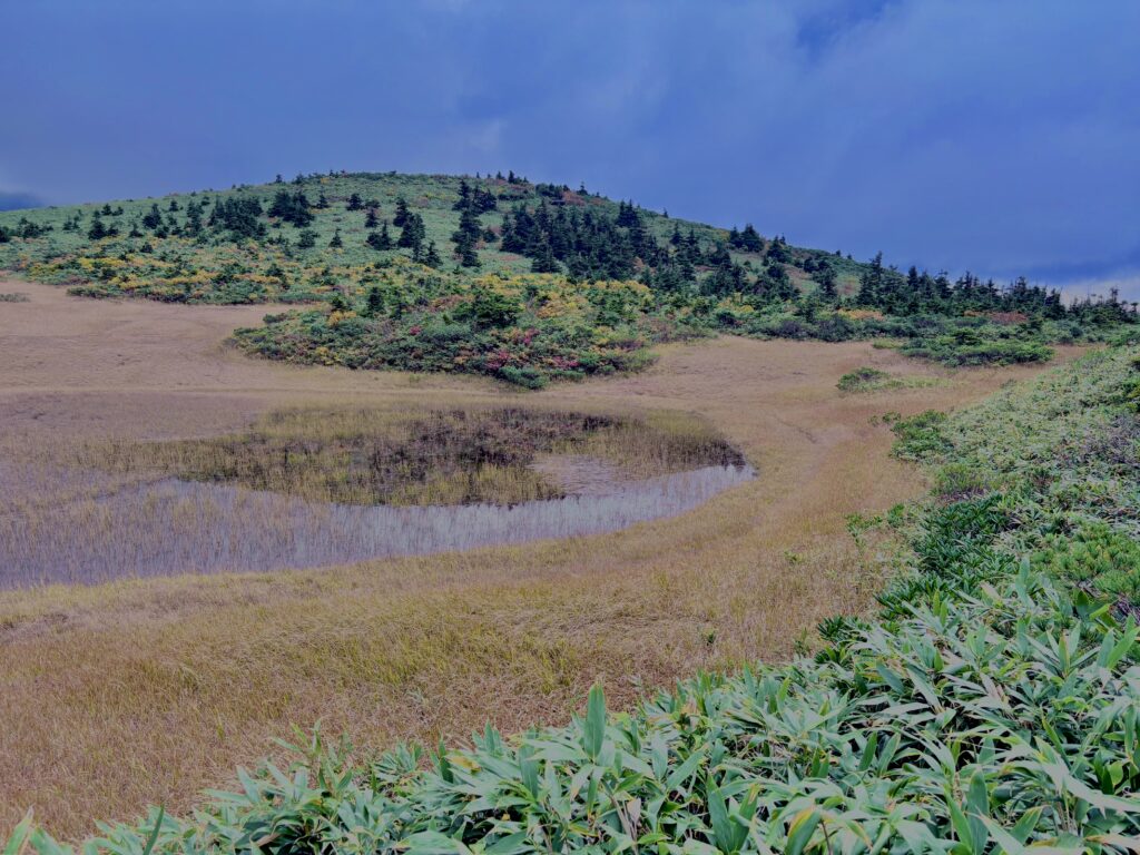 八甲田山,日本百名山,青森県,山,登山,