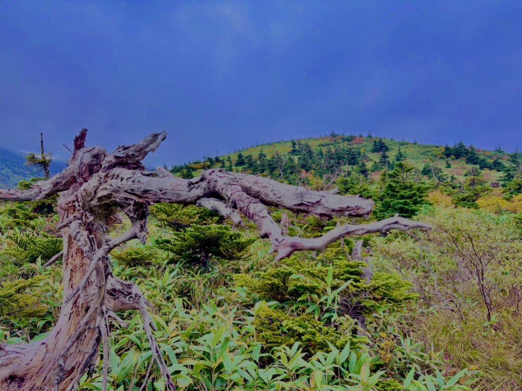 八甲田山,日本百名山,青森県,山,登山,
