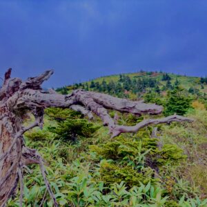 八甲田山,日本百名山,青森県,山,登山,