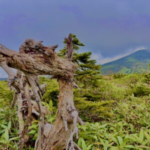 八甲田山,日本百名山,青森県,山,登山,