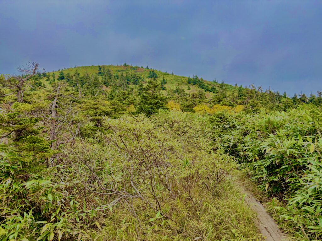 八甲田山,日本百名山,青森県,山,登山,