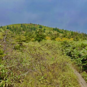 八甲田山,日本百名山,青森県,山,登山,