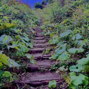八甲田山,日本百名山,青森県,山,登山,