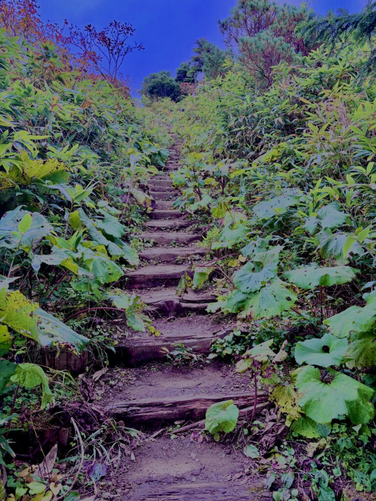 八甲田山,日本百名山,青森県,山,登山,