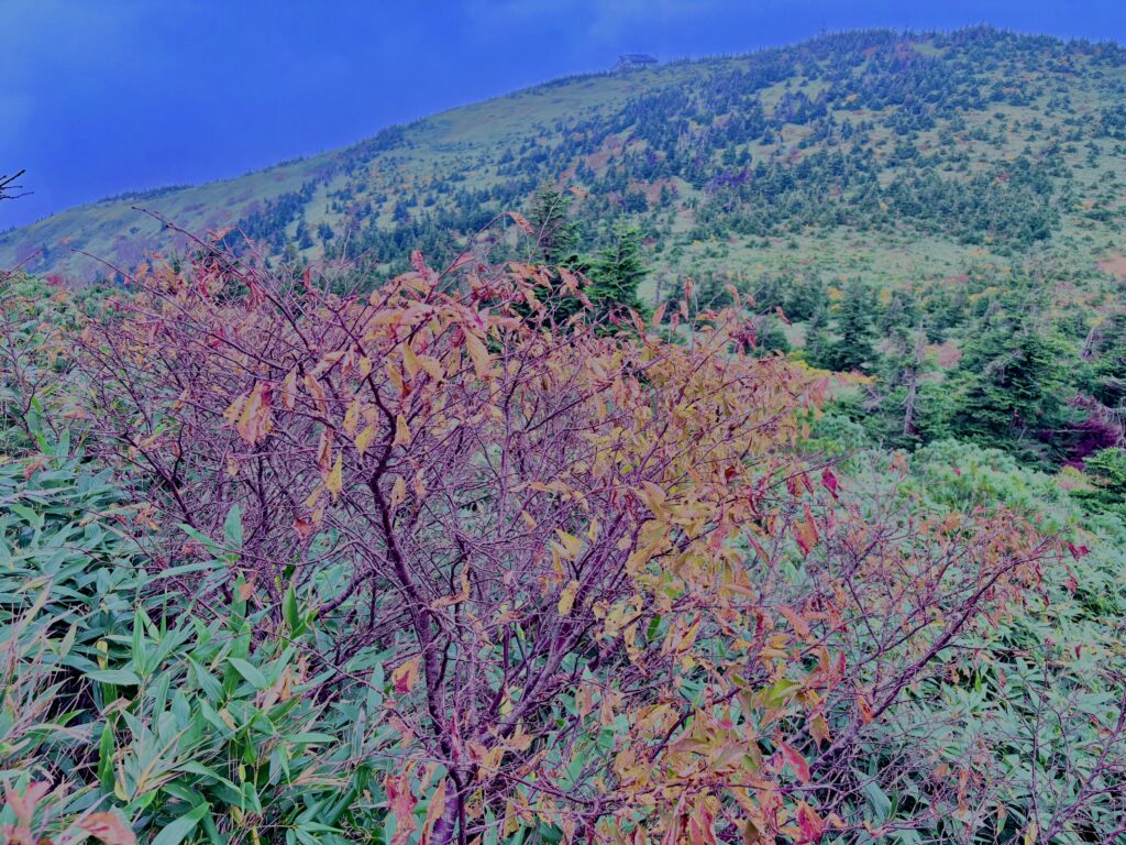 八甲田山,日本百名山,青森県,山,登山,