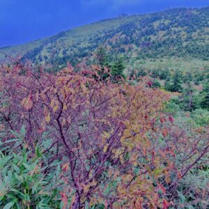 八甲田山,日本百名山,青森県,山,登山,