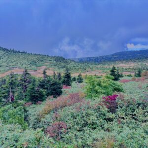 八甲田山,日本百名山,青森県,山,登山,