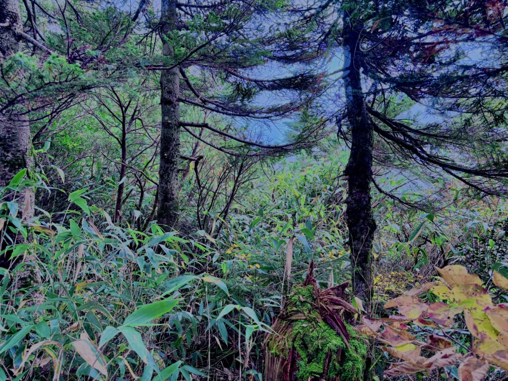 八甲田山,日本百名山,青森県,山,登山,