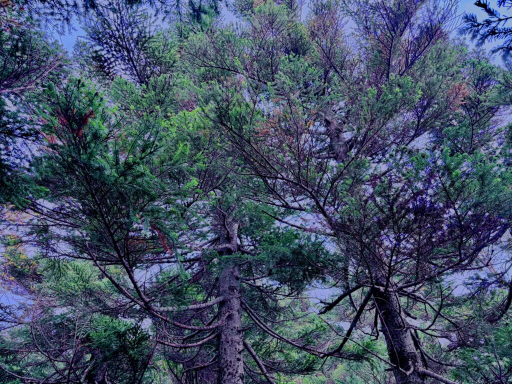 八甲田山,日本百名山,青森県,山,登山,