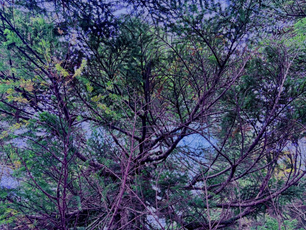 八甲田山,日本百名山,青森県,山,登山,
