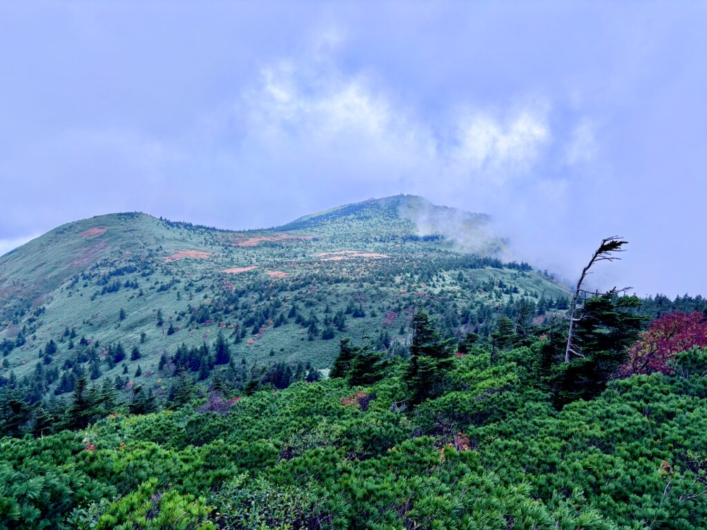 八甲田山,日本百名山,青森県,山,登山,