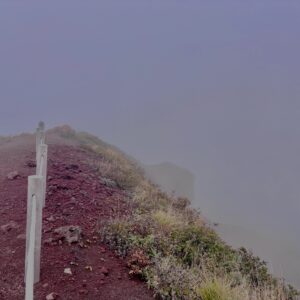 霧,濃霧,ガス,視界不良,ホワイトアウト, 八甲田山,日本百名山,青森県,山,登山,