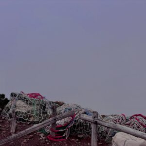 霧,濃霧,ガス,視界不良,ホワイトアウト, 八甲田山,日本百名山,青森県,山,登山,