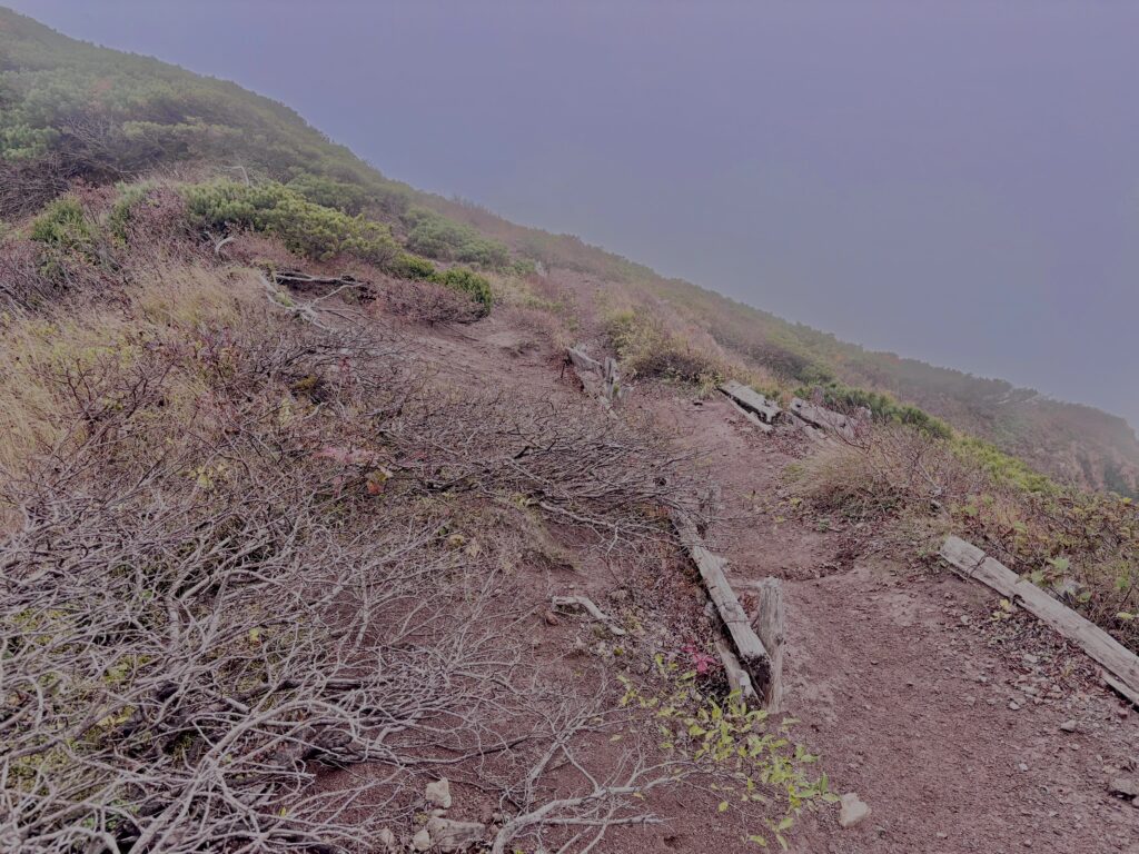 霧,濃霧,ガス,視界不良,ホワイトアウト, 八甲田山,日本百名山,青森県,山,登山,