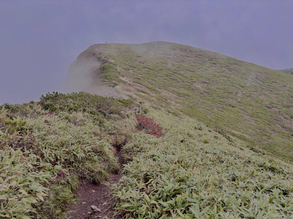 霧,濃霧,ガス,視界不良,ホワイトアウト, 八甲田山,日本百名山,青森県,山,登山,