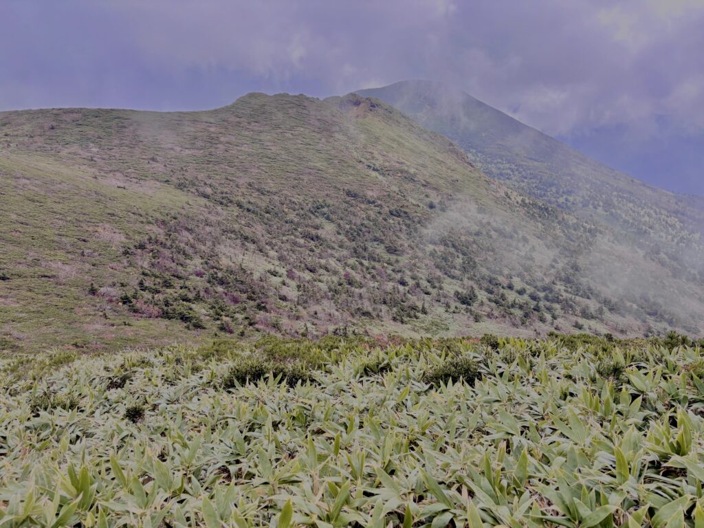 霧,濃霧,ガス,視界不良,ホワイトアウト, 八甲田山,日本百名山,青森県,山,登山,