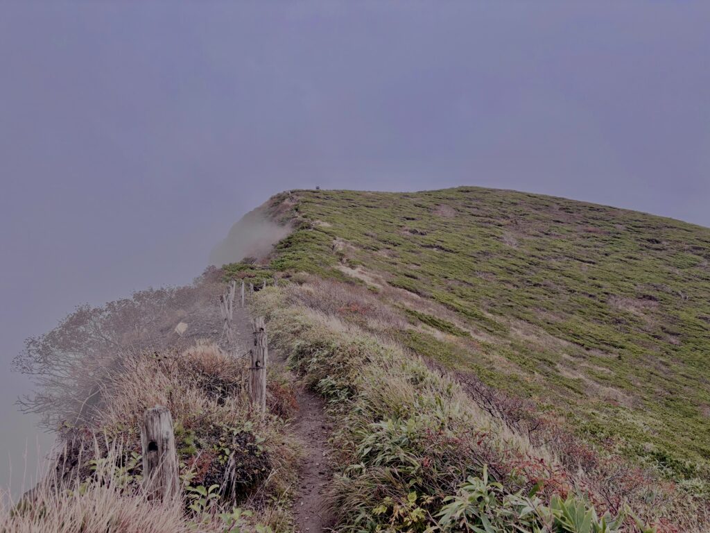 霧,濃霧,ガス,視界不良,ホワイトアウト, 八甲田山,日本百名山,青森県,山,登山,