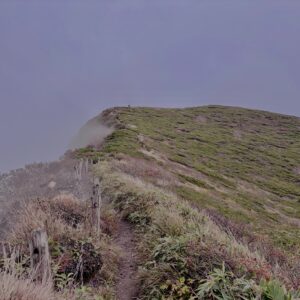 霧,濃霧,ガス,視界不良,ホワイトアウト, 八甲田山,日本百名山,青森県,山,登山,