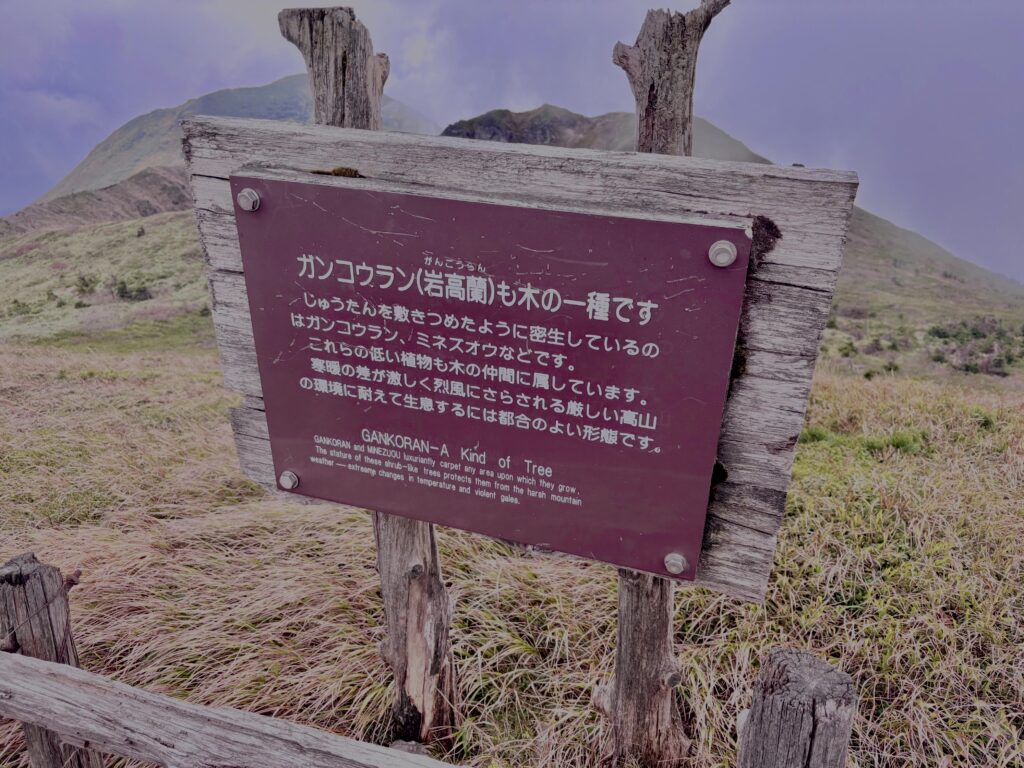 赤倉岳, 八甲田山,日本百名山,青森県,山,登山,