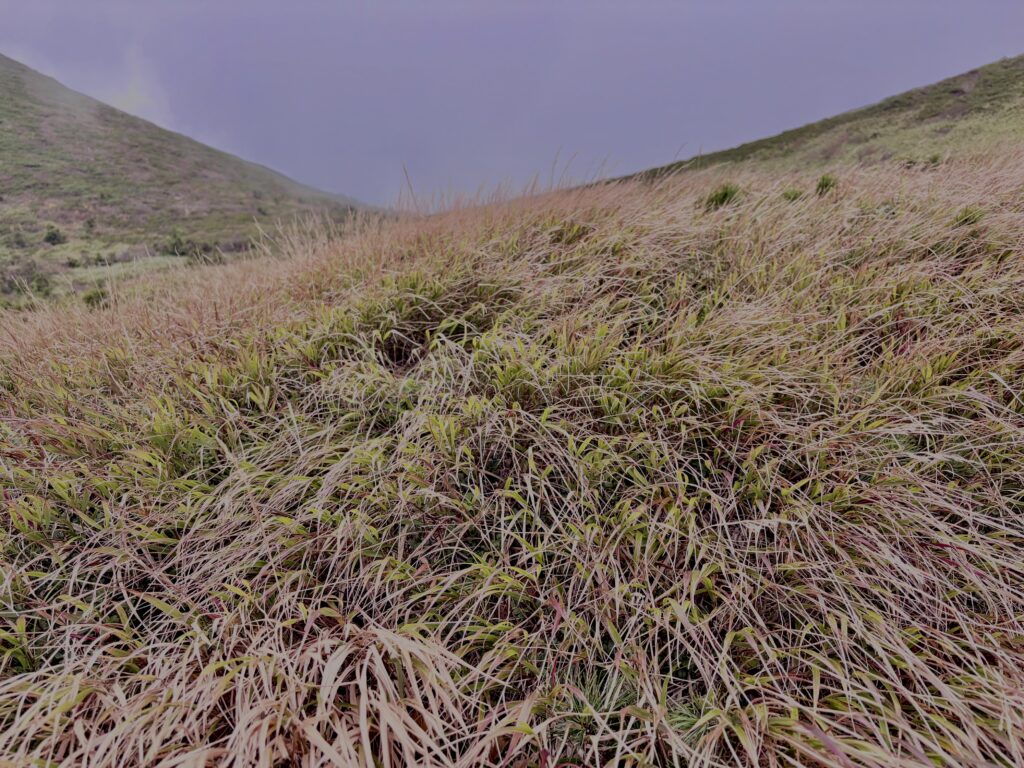 赤倉岳, 八甲田山,日本百名山,青森県,山,登山,