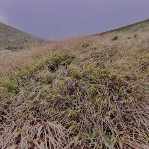 赤倉岳, 八甲田山,日本百名山,青森県,山,登山,