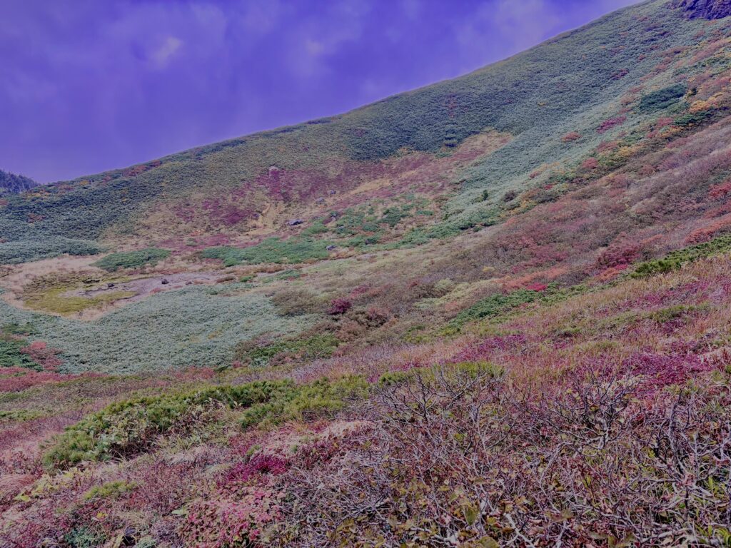 自然,風景,八甲田山,日本百名山,青森県,山,登山,