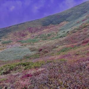 自然,風景,八甲田山,日本百名山,青森県,山,登山,