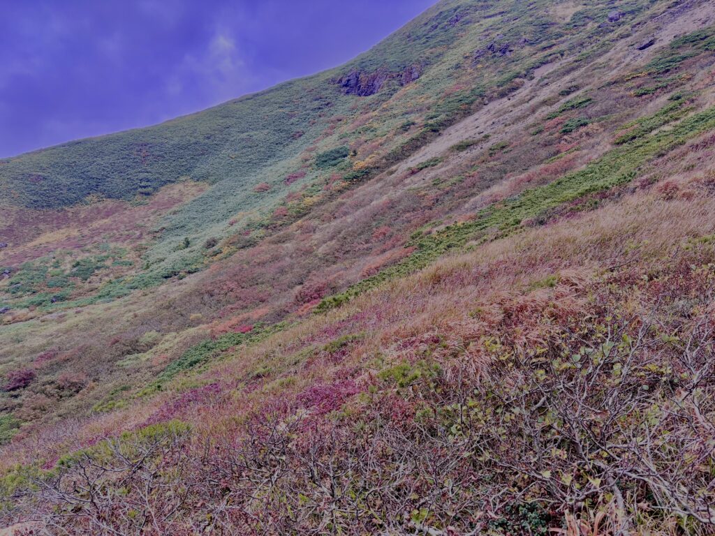 自然,風景,八甲田山,日本百名山,青森県,山,登山,
