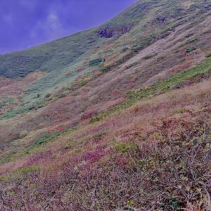 自然,風景,八甲田山,日本百名山,青森県,山,登山,