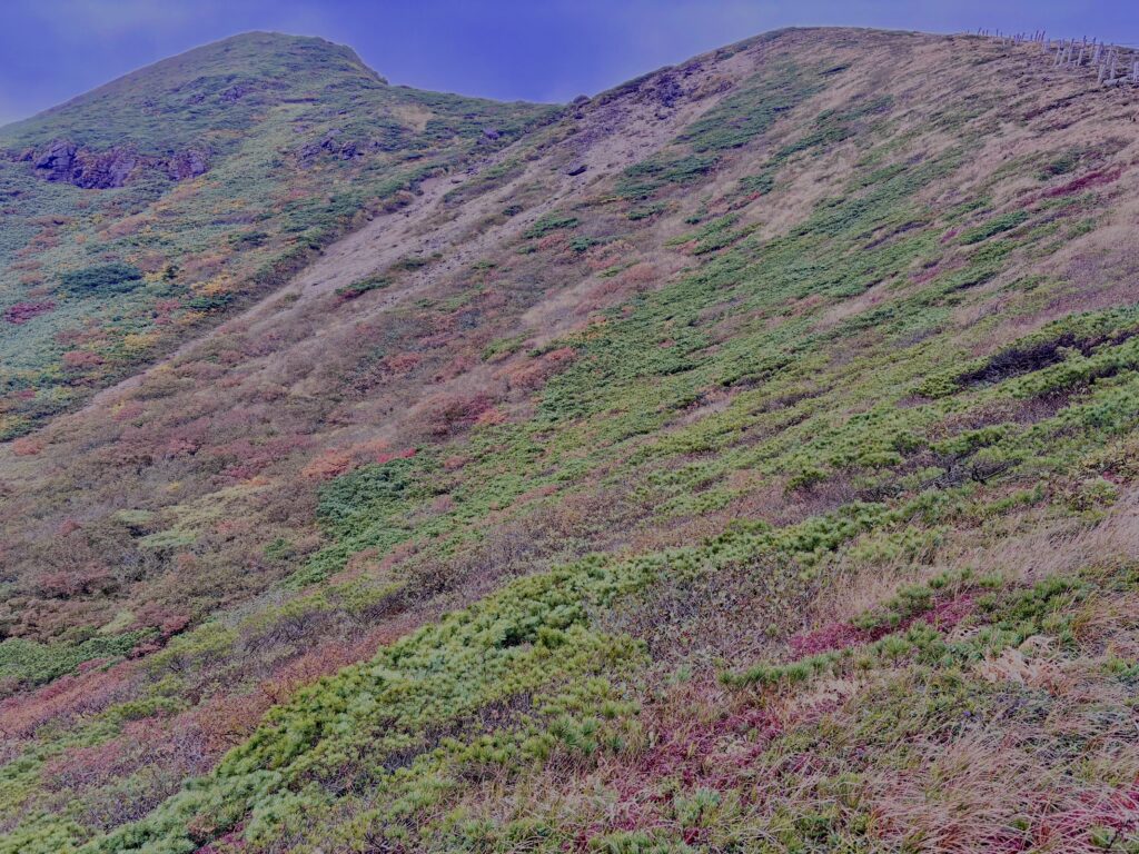 自然,風景,八甲田山,日本百名山,青森県,山,登山,