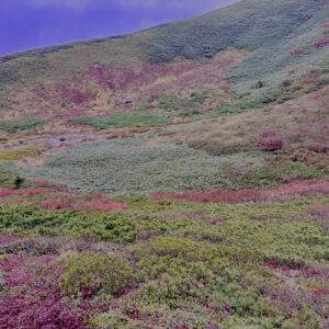 自然,風景,八甲田山,日本百名山,青森県,山,登山,