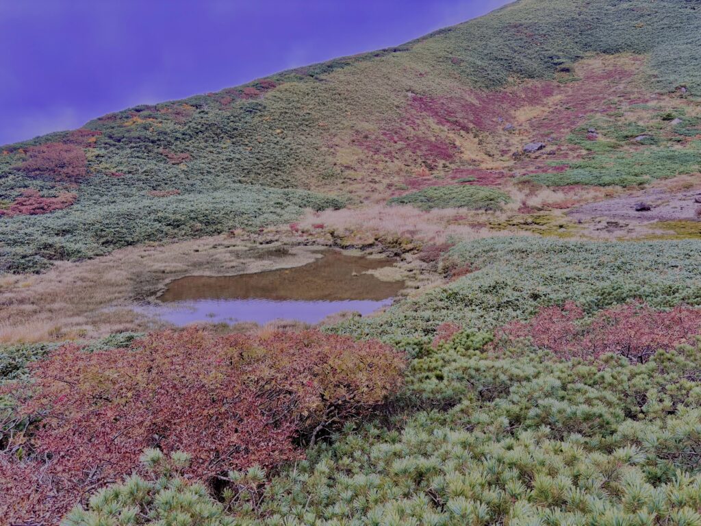 自然,風景,八甲田山,日本百名山,青森県,山,登山,