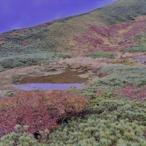 自然,風景,八甲田山,日本百名山,青森県,山,登山,