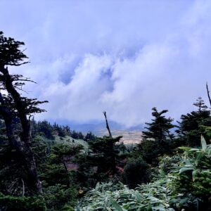 自然,風景,八甲田山,日本百名山,青森県,山,登山,