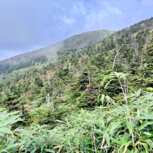 自然,風景,八甲田山,日本百名山,青森県,山,登山,