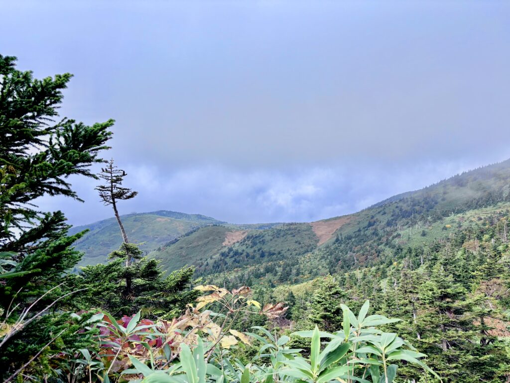 自然,風景,八甲田山,日本百名山,青森県,山,登山,