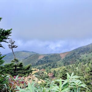 自然,風景,八甲田山,日本百名山,青森県,山,登山,