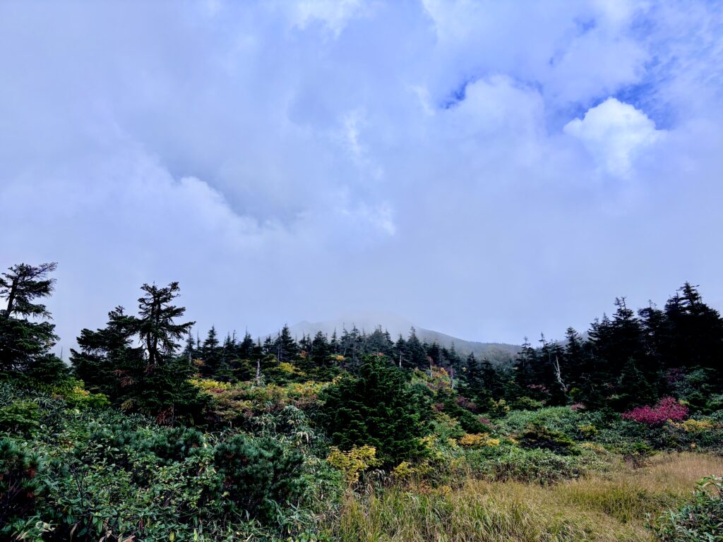 自然,風景,八甲田山,日本百名山,青森県,山,登山,