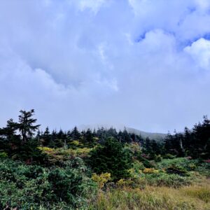 自然,風景,八甲田山,日本百名山,青森県,山,登山,