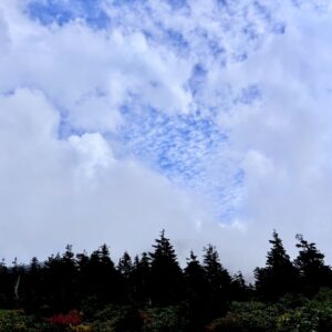自然,風景,八甲田山,日本百名山,青森県,山,登山,