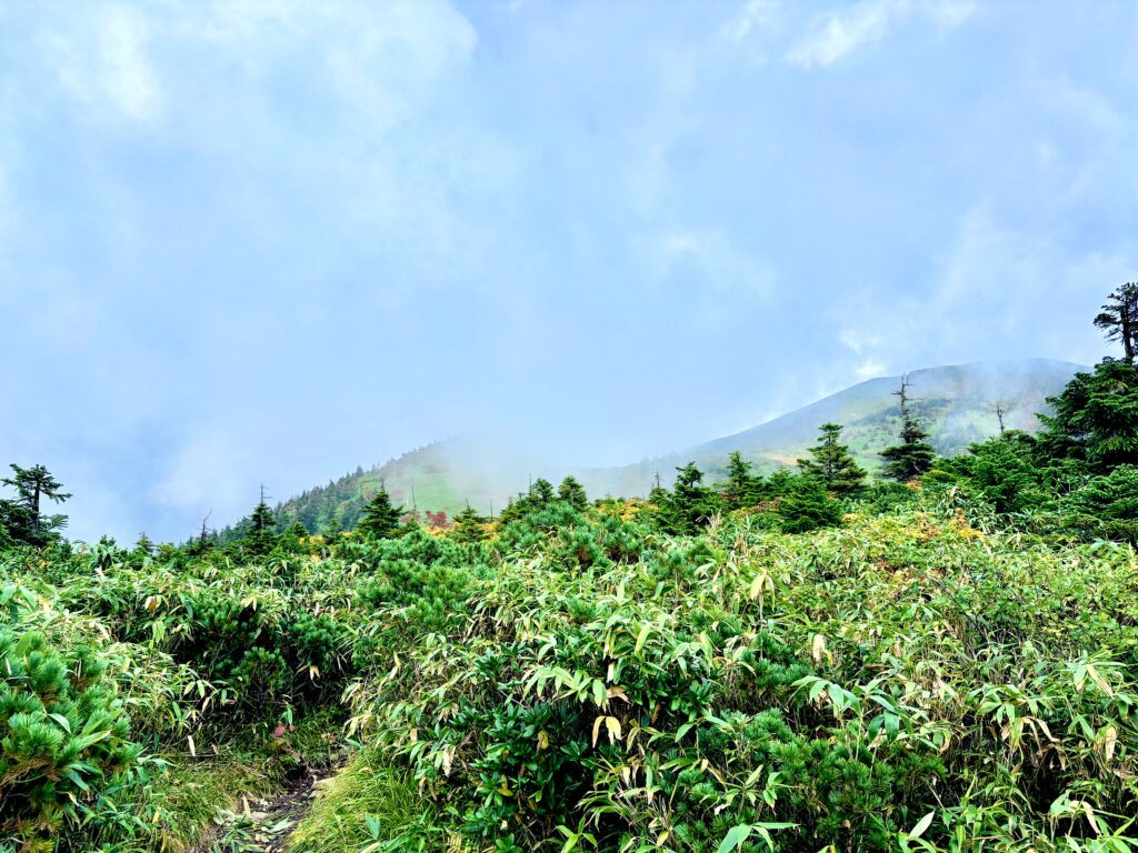 自然,風景,八甲田山,日本百名山,青森県,山,登山,