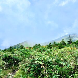 自然,風景,八甲田山,日本百名山,青森県,山,登山,