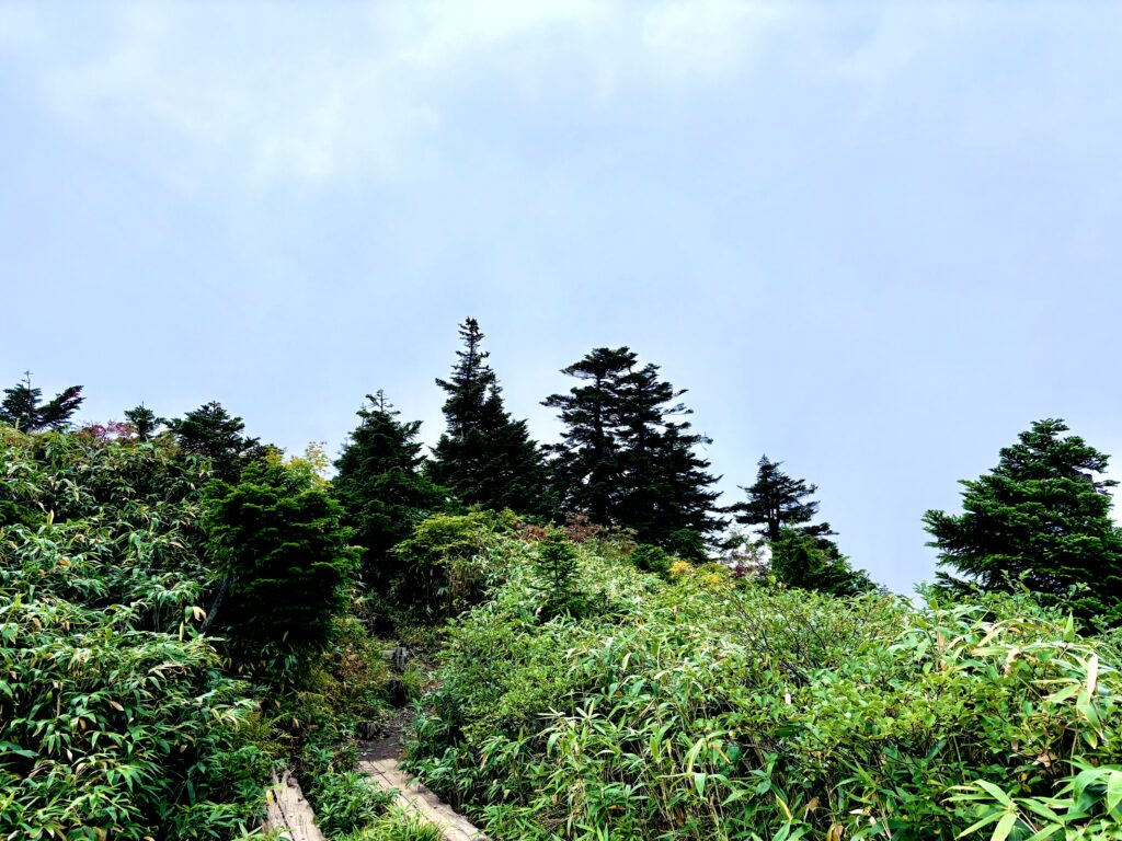 自然,風景,八甲田山,日本百名山,青森県,山,登山,