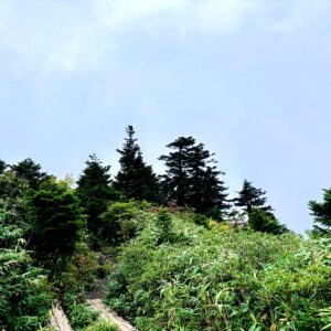 自然,風景,八甲田山,日本百名山,青森県,山,登山,