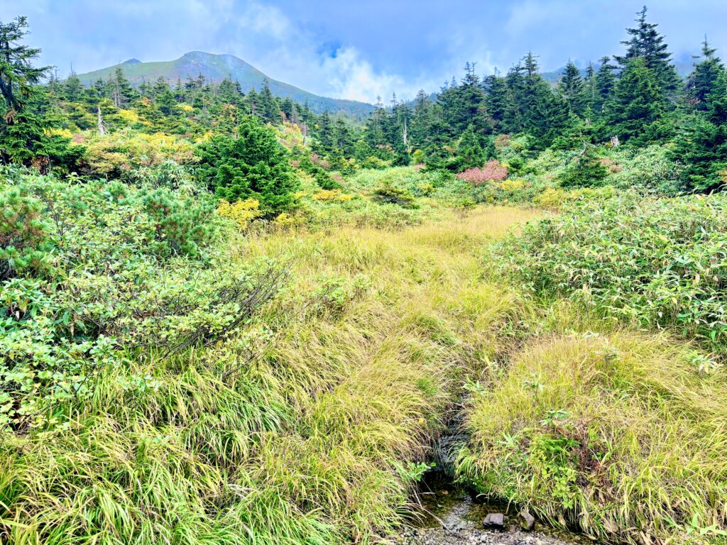 自然,風景,八甲田山,日本百名山,青森県,山,登山,