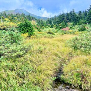 自然,風景,八甲田山,日本百名山,青森県,山,登山,