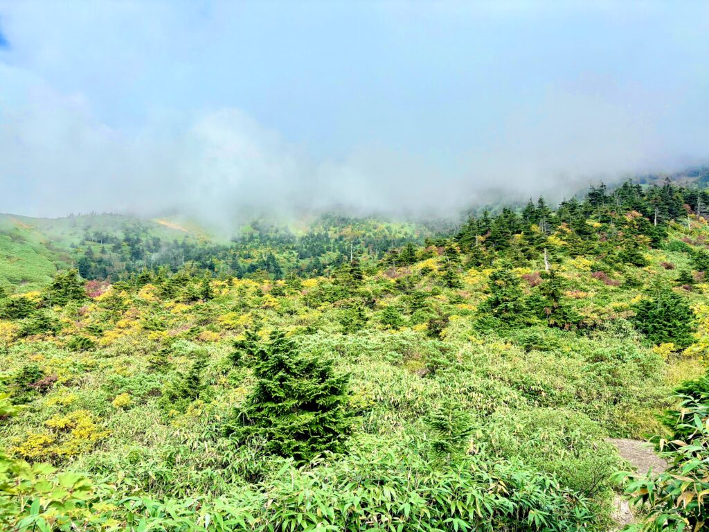 自然,風景,八甲田山,日本百名山,青森県,山,登山,